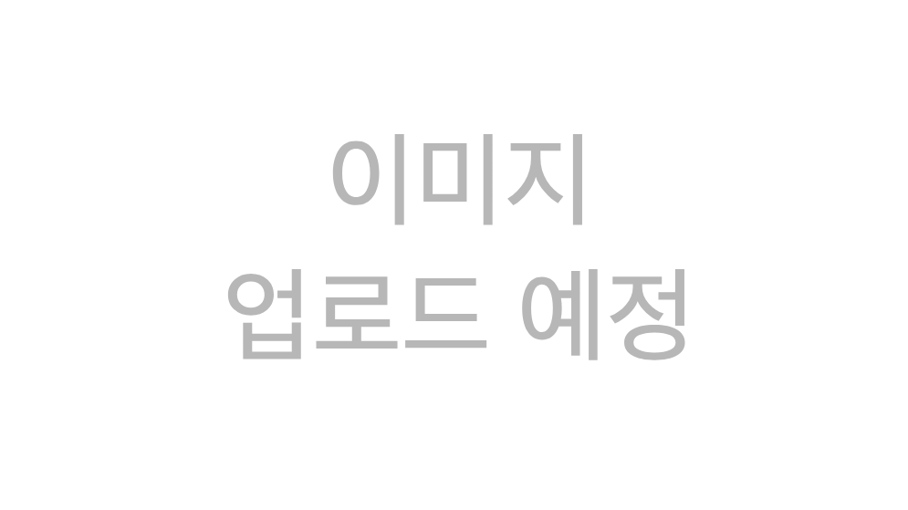 파일:빈 가로 이미지.png